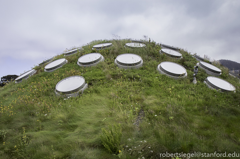 California Academy of Science 2019